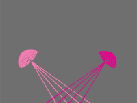 pinks shower
