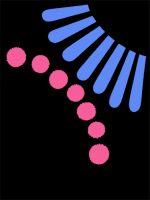 birth 9