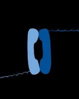 blue phone sex