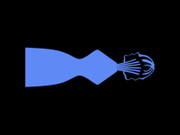 blue poppy