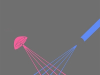 pink and blue shower